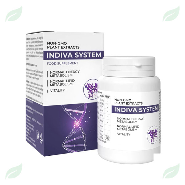 InDiva System